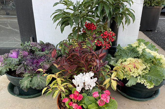 アルゴプレスト　ロープアクセス　ロープレスキュー